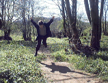 Young boy leaping in sunlit woods
