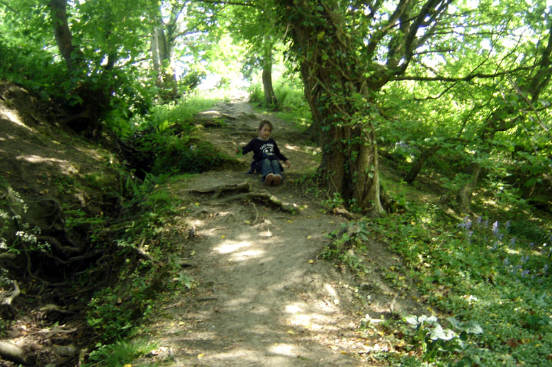 Small girl sliding down hill in woods