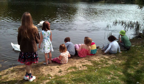 A group of children watching swans on a river.
